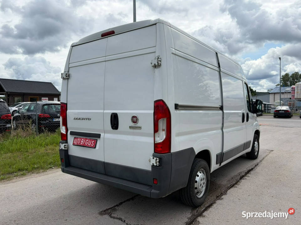 Fiat Ducato chłodnia salon polska