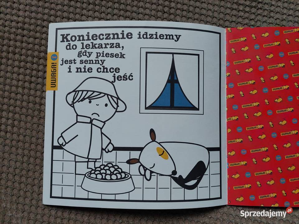 Piesek u lekarza Uta Dorczyk małopolskie Kraków