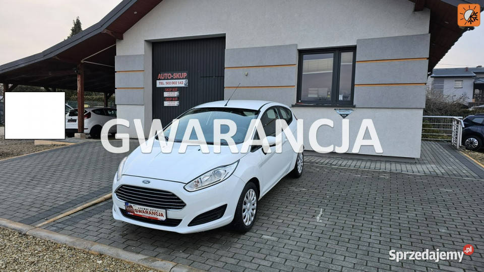 Ford Fiesta Ford Fiesta 13 pb ładna Mk7 2008 Chełm Śląski