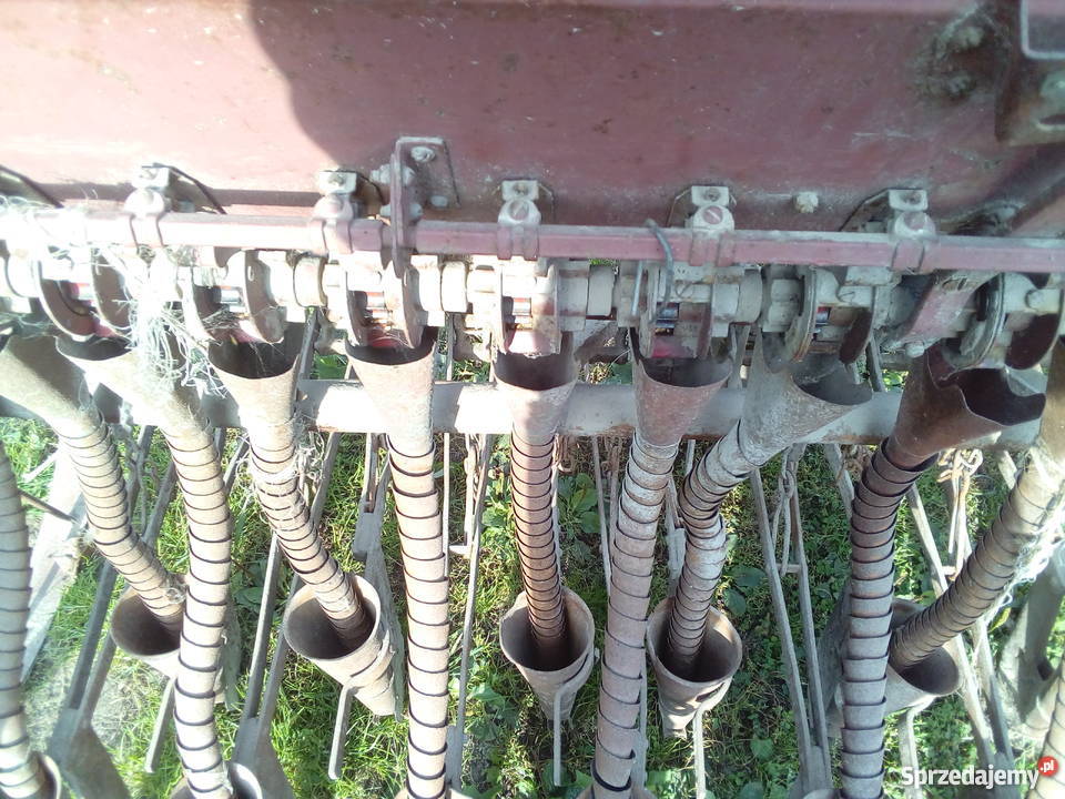 Siewnik zbożowy konny Zezulin Drugi