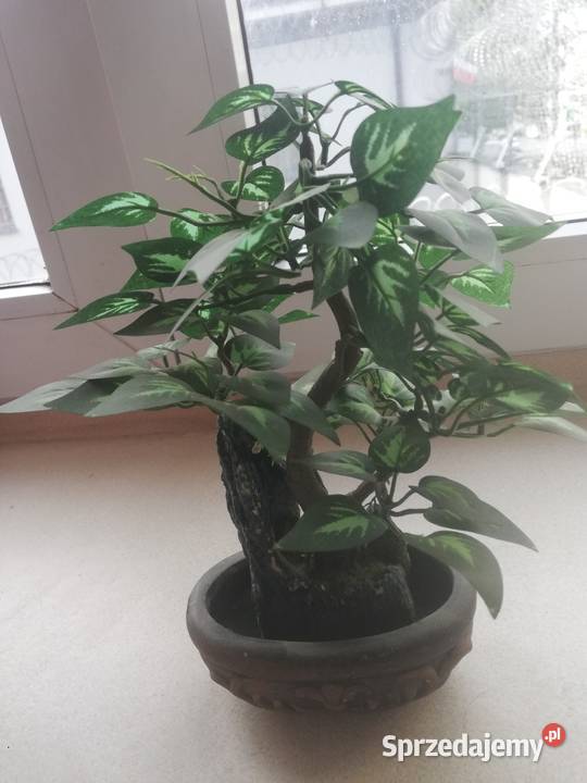 Drzewko sztuczne dekoracyjne mazowieckie Warszawa