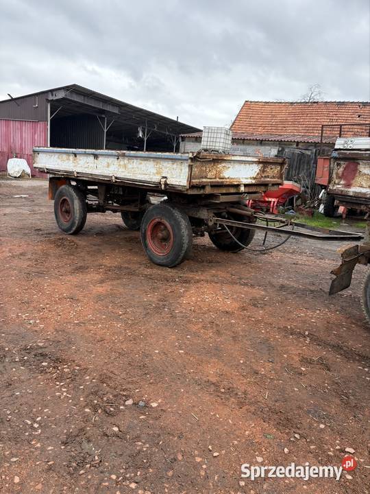 Przyczepa hl 6011 Twardów sprzedam