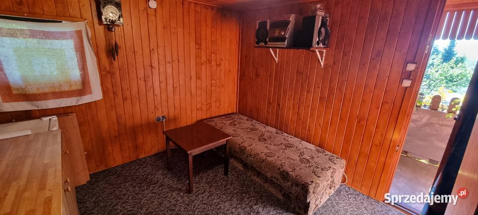 Sprzedam dużą urokliwą skrajną działkę ROD 5 Sprzedaż Cieszyn