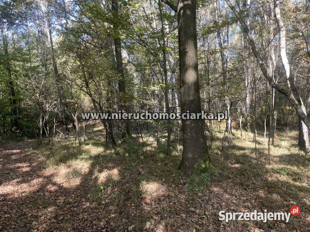 Grunt 15421m2 Czyżowice