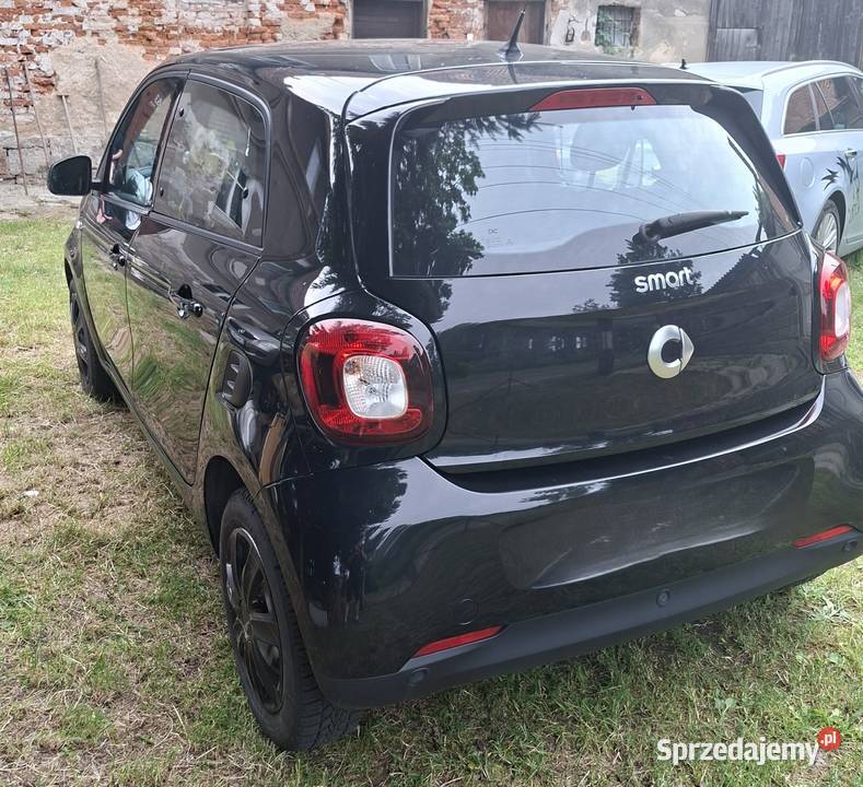 Smarty w stanie Strzegom