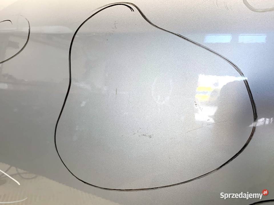 DRZWI PRAWY TYŁ RENAULT SCENIC III Minivan osobowe