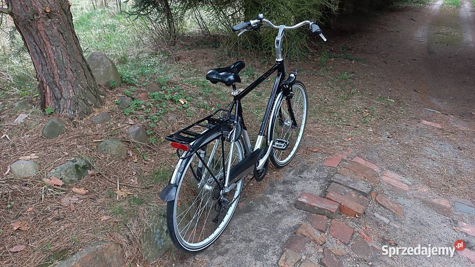 Alu Rower Miejski Męski Koga Miyata Prominence Wołów