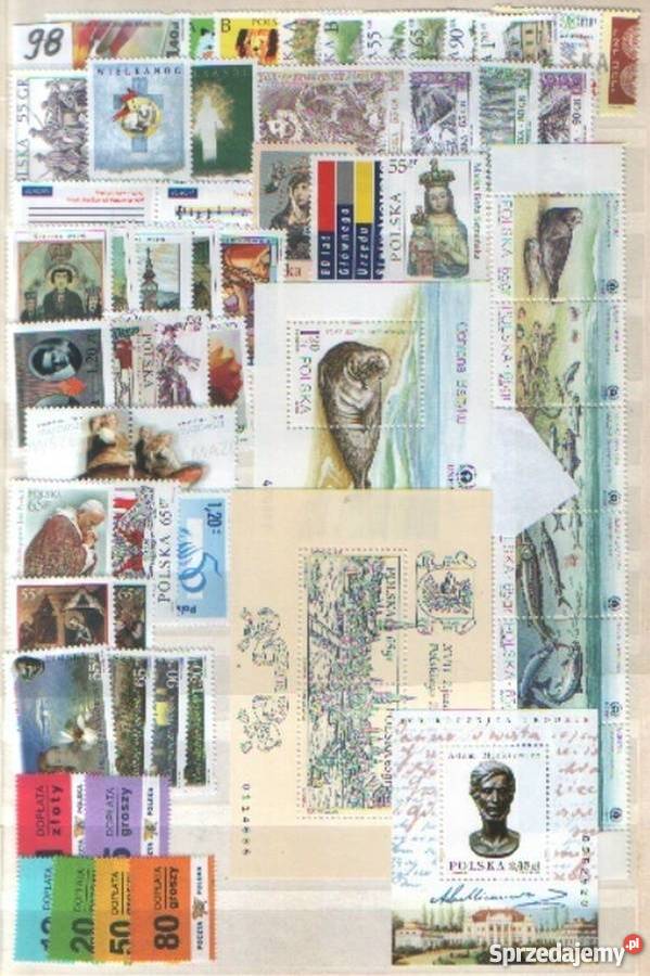 Zn Rocznik 1998 Gliwice