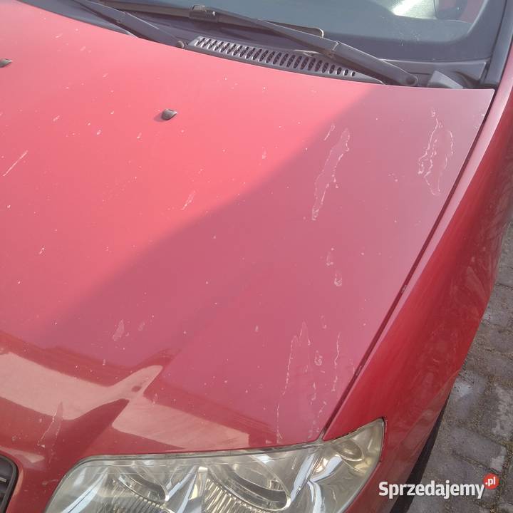 Fiat Punto bez wycieków i korozji 1249cm3 Kostrzyn
