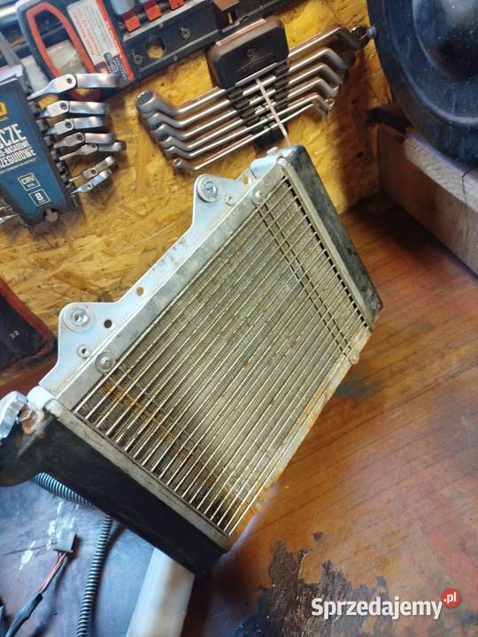 Silnik quad 250 Bączałka