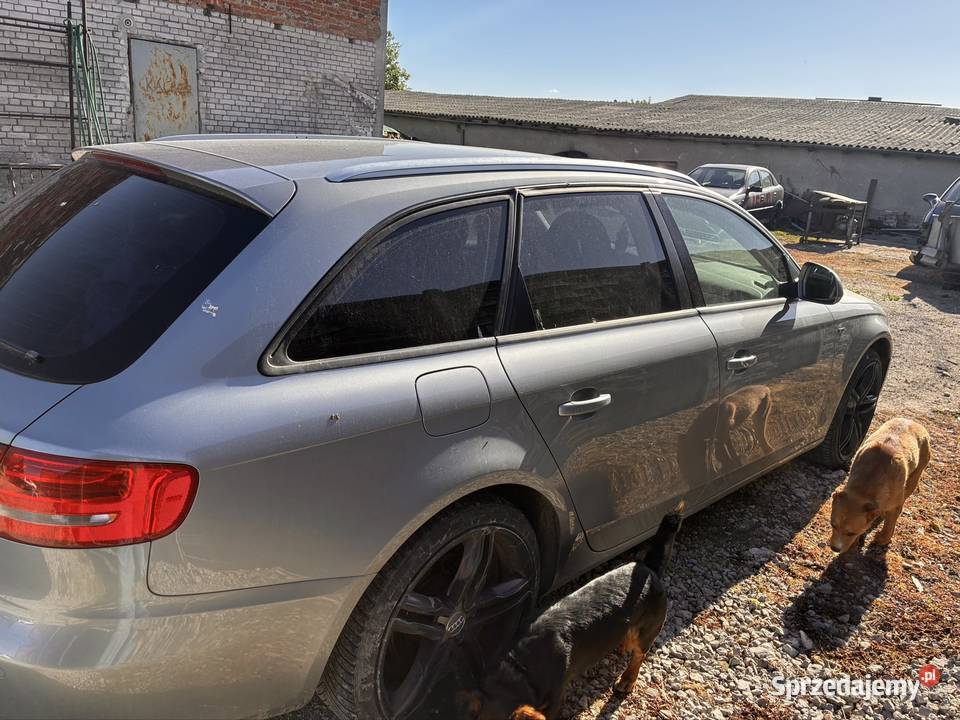 Audi A4 Audi Białe Błota