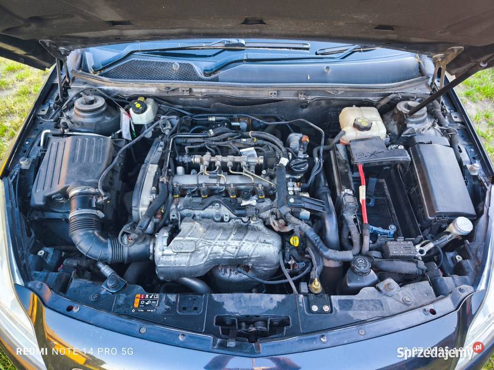 Opel Insignia kujawsko-pomorskie Ciechocinek