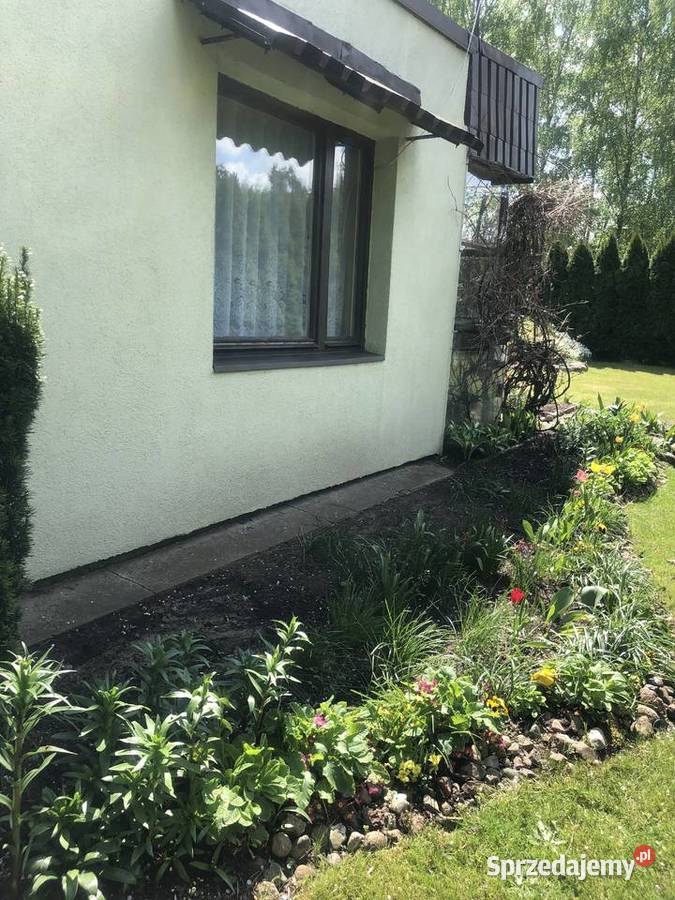 BEZPOŚREDNIO SPRZEDAM DZIAŁKĘ W ROD SŁOWIK łódzkie Słowik sprzedam