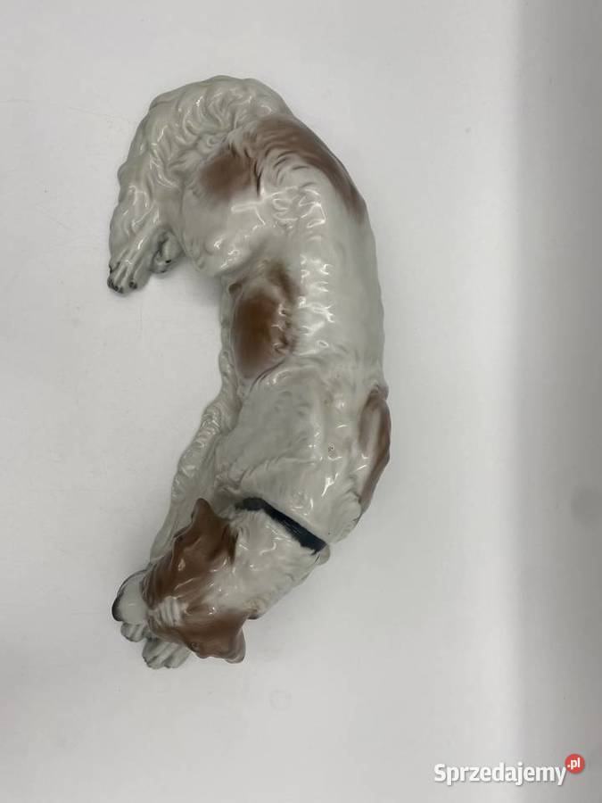 Porcelanowa figura Lężący pies Rosenthal Selb ok Antyki, Sztuka, Kolekcje