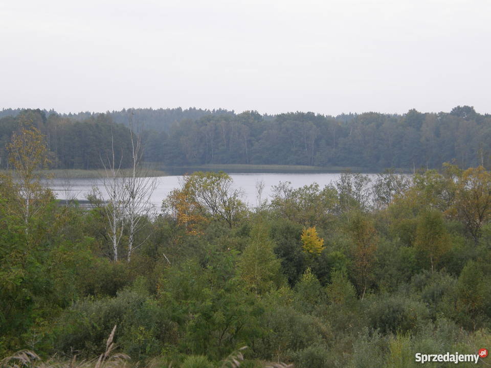 Działka W Linowie Nad Jeziorem Sasek Wielki Linowo Sprzedajemypl 7854