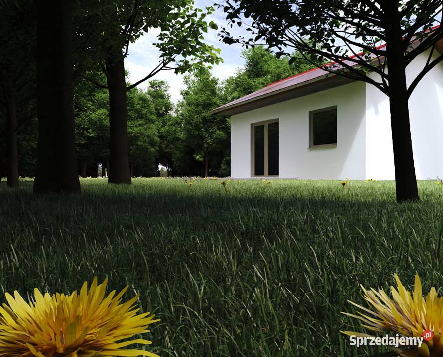 Projekt domu ZG1a na zgłoszenie bez pozwolenia Sosnowiec sprzedam