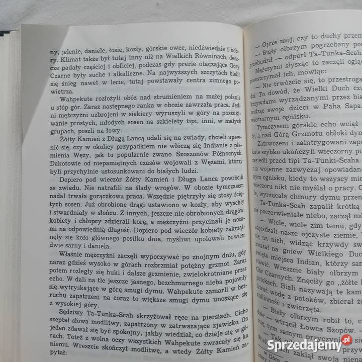 Ki A Szklarscy Złoto Gór Czarnych Tom 3 Ostatnia Koźminek