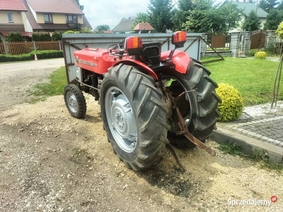 Massey Ferguson 135V sadownik Busko-Zdrój