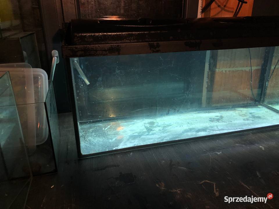 Akwarium 100 160 L pokrywa oświetlenie led sprzedam