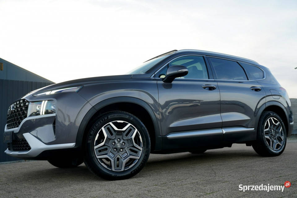 Hyundai Santa Fe FUL LED panorama skóra kamery Otmuchów