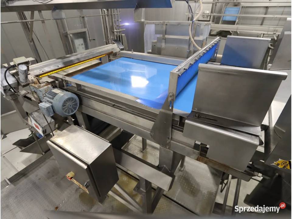 Odenberg Alpha Maszyna do gradowania ziemniaków Produkcja Krotoszyn