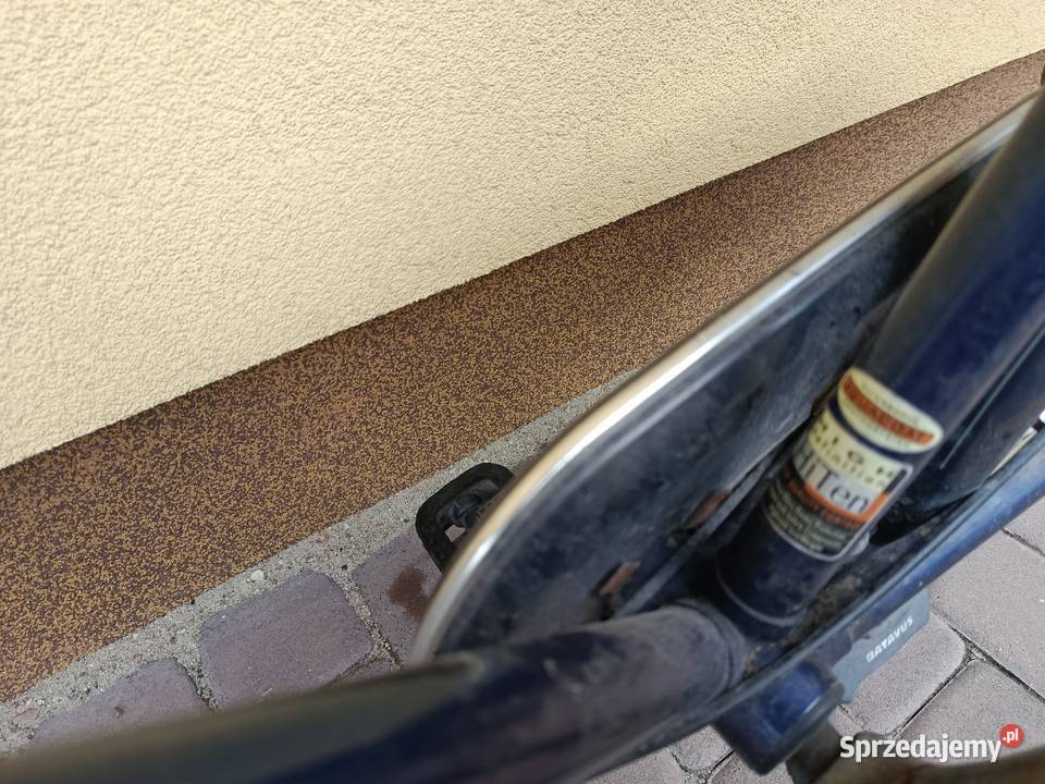 Rower holenderski batavus Łuszczów Pierwszy