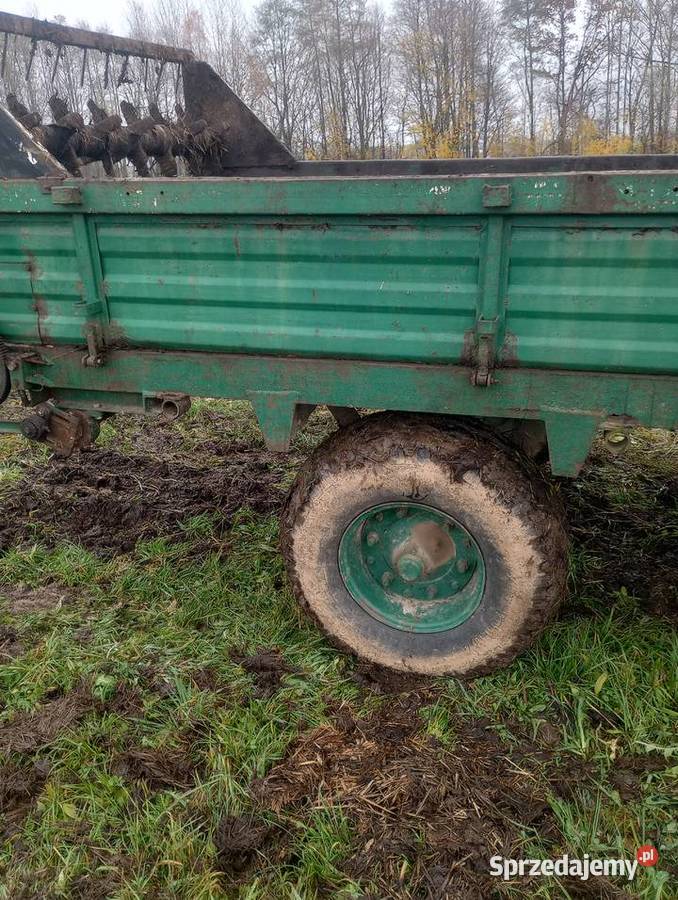 Rozrzutnik nieuszkodzony Pozostałe świętokrzyskie Pawłów