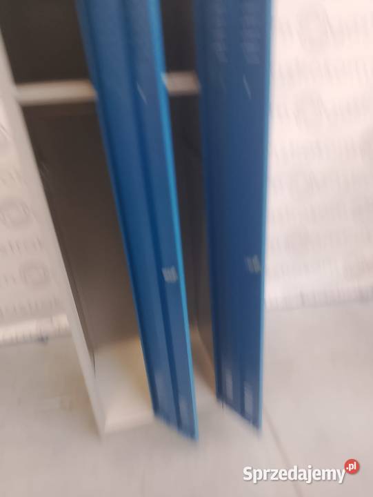 Szafka BHP podwójna drzwi niebieskie 60x50x180