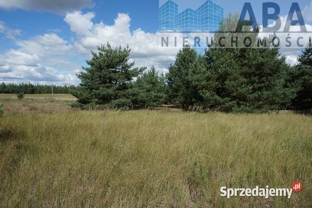 Mniszki gm Skulsk działka na sprzedaż 0679 ha Mniszki A sprzedam