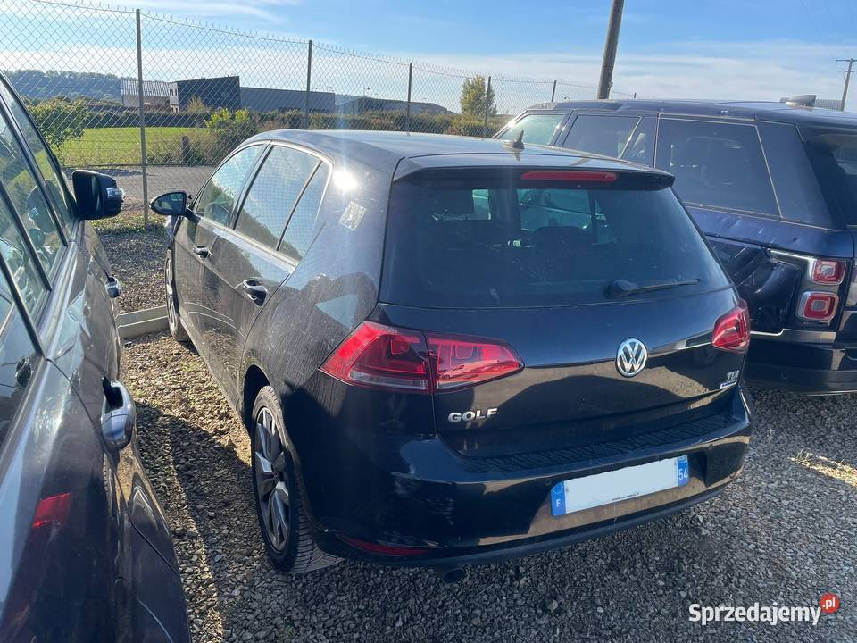 VOLKSWAGEN Golf VII 16 TDi CR BlueMotion 110 Wrocław
