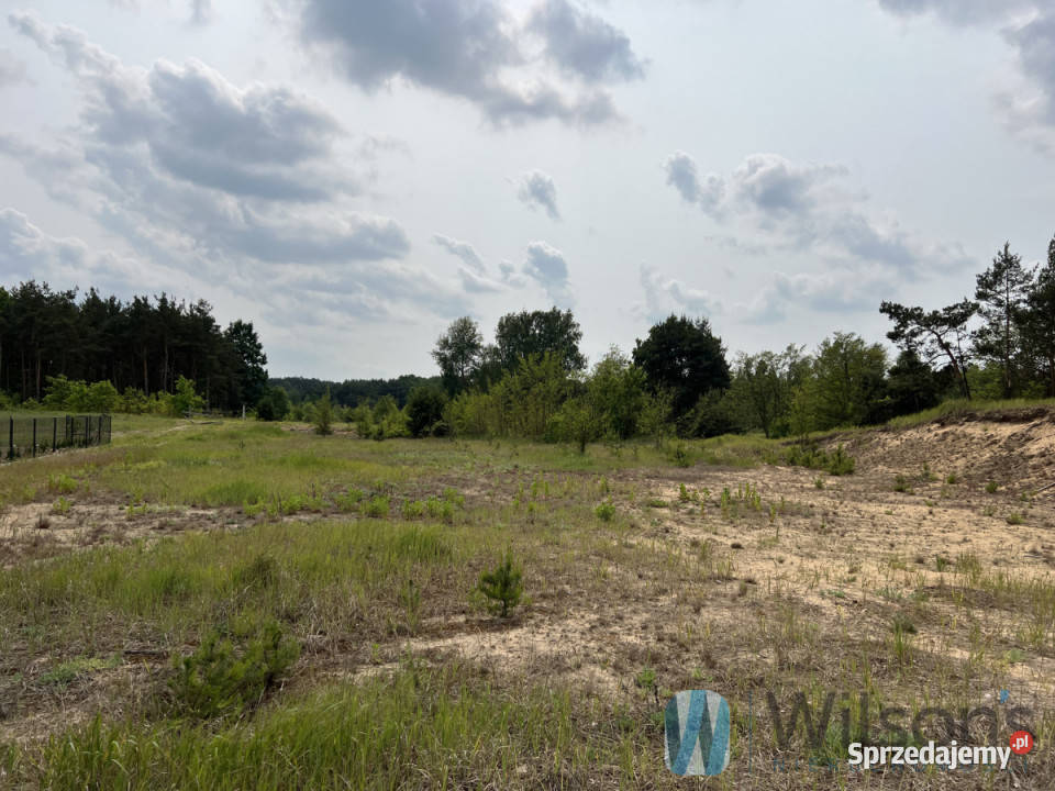 Działka 15000m2 Kołaków Walecznych 530m