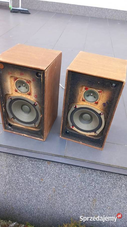 Tonsil ZG108 S2 na kobaltach płutno Radom