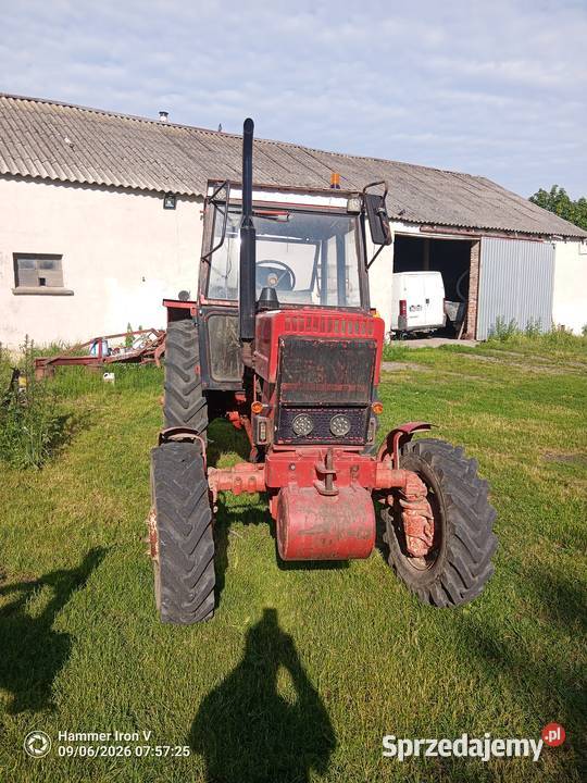 Ciągnik MTZ 82 Toruń