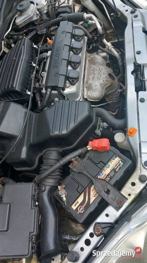 Sprzedam Honda Civic 2001103 Sieradz sprzedam