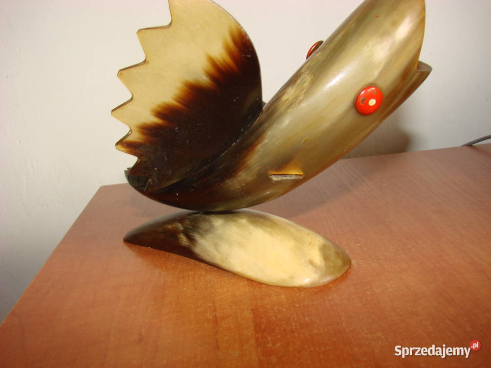 Ryba z rogu Pruszcz Gdański