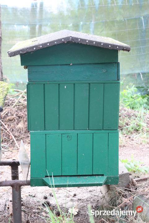 Pasieka na sprzedaż Chełmża sprzedam