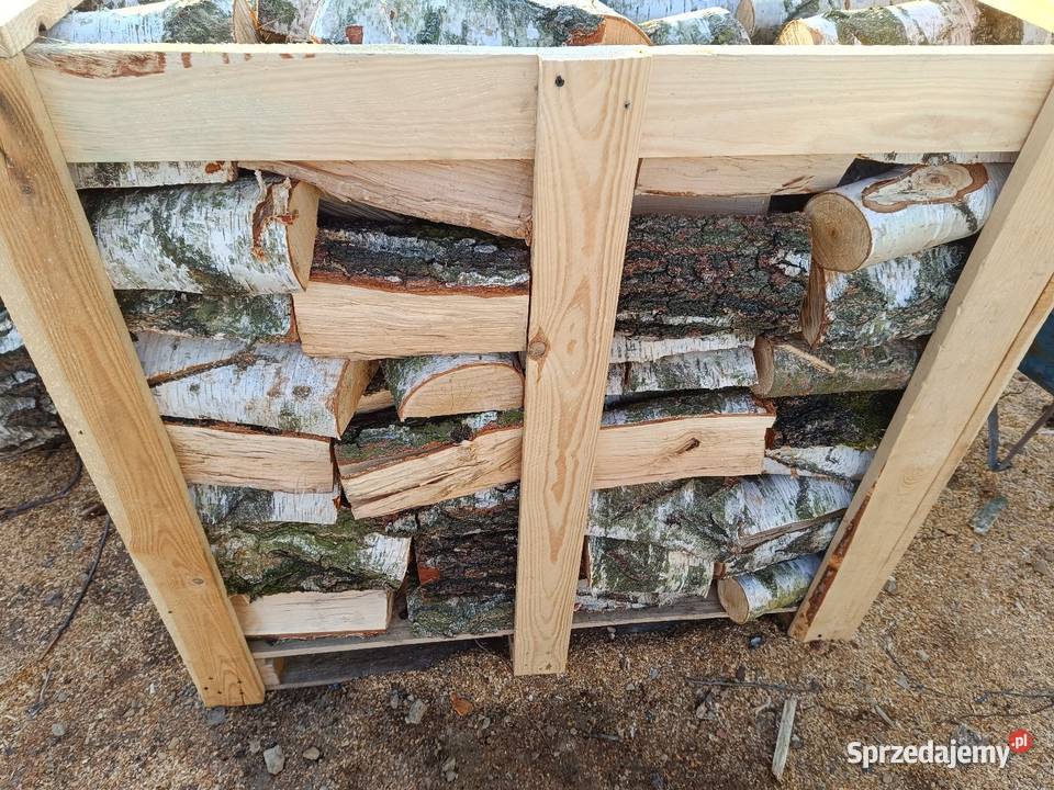 Drzewo kominkowe brzoza Częstochowa