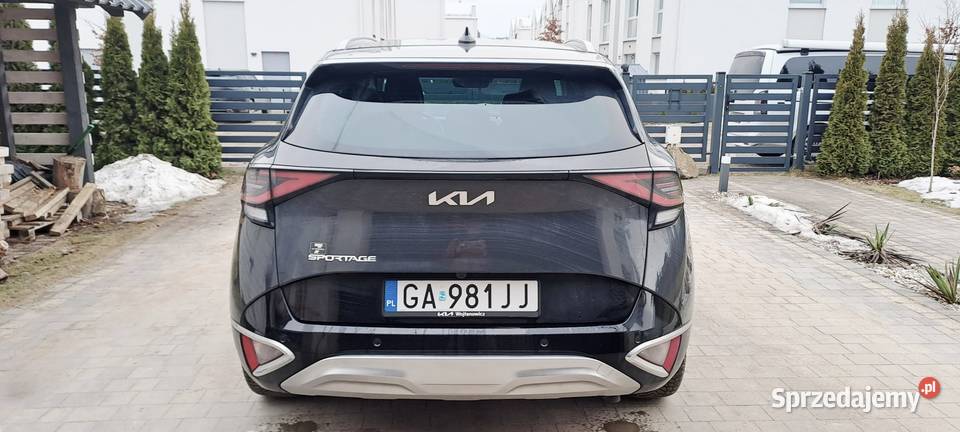 Kia Sportage 16 TGDI Business Line 2WD Gdynia