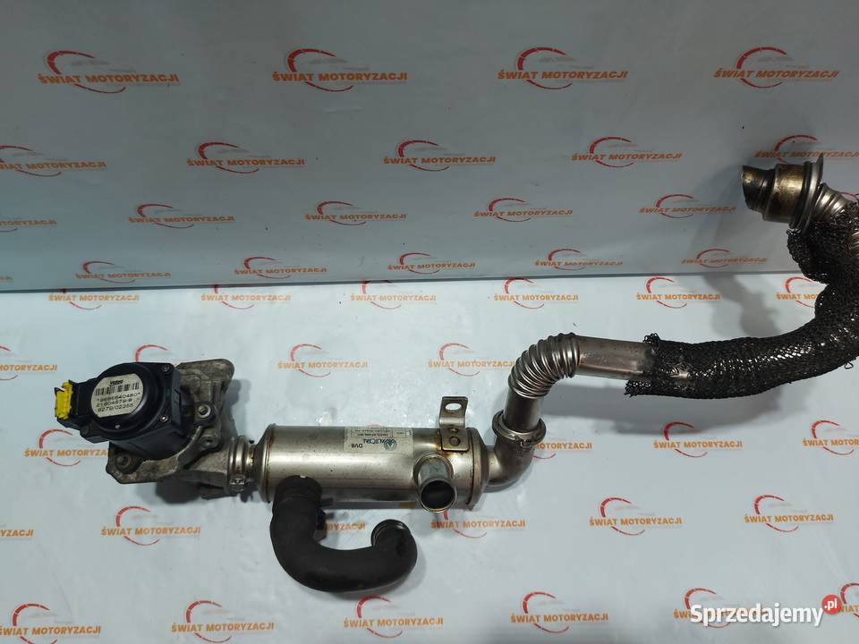 MAZDA 3 FORD 16 CITD Y6 7M5Q6007FB 110 osobowe Kielce