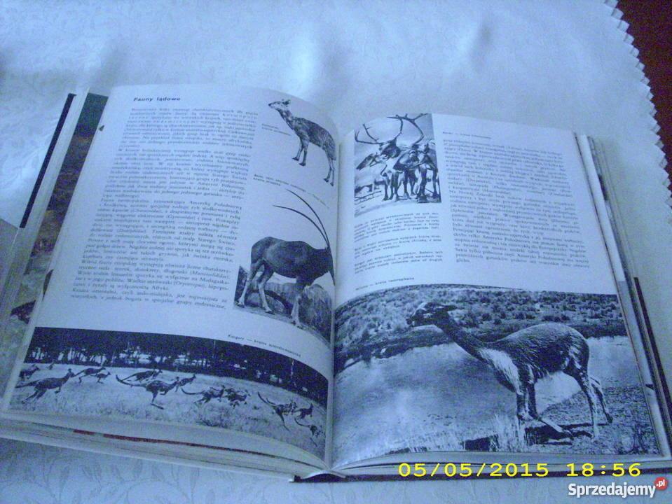 Ziemia rośliny zwierzęta Larousse Goleniów