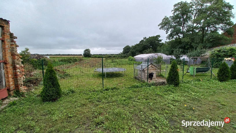 Sprzedam dom z działką budynki inwentarskie Sprzedaż Darnowo