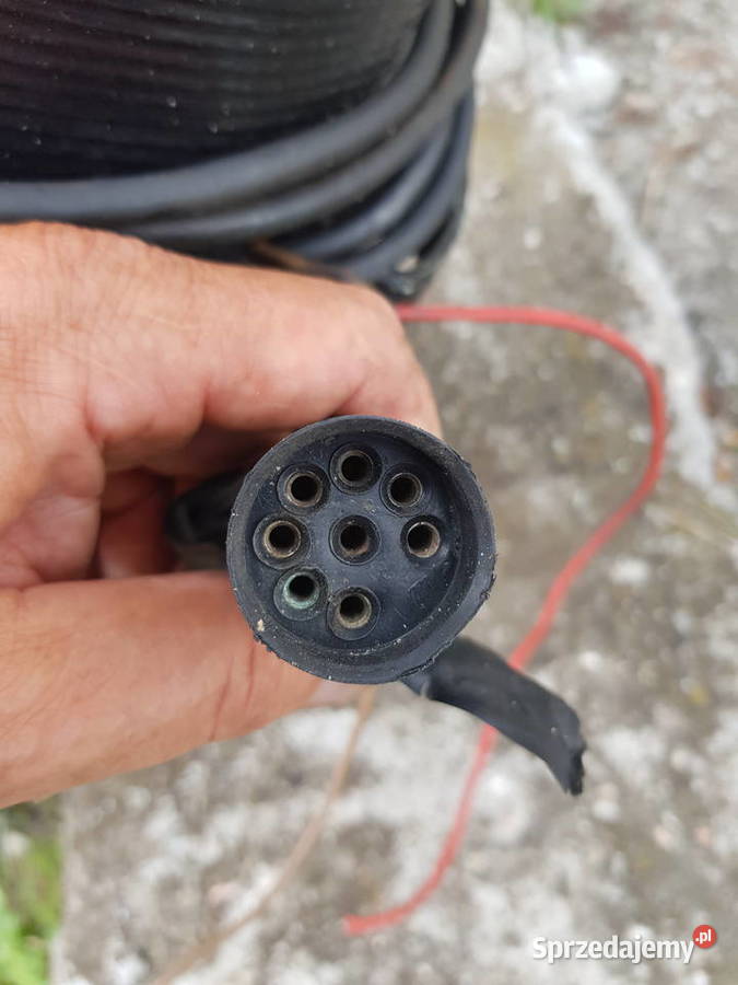 Mercury 50 Gorzów Wielkopolski