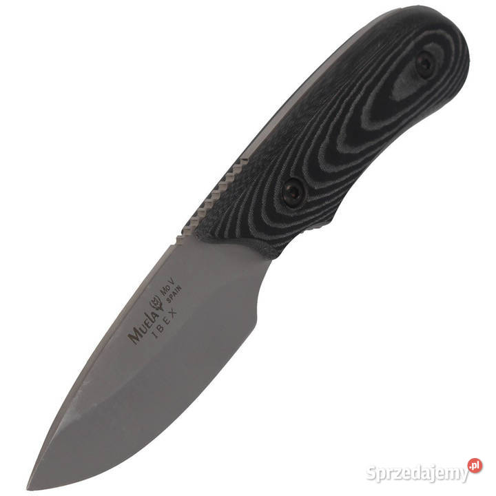 Nóż Muela Full Tang Black Micarta Satin Sport i Wypoczynek