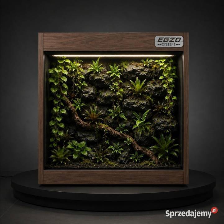 Terrarium gekona orzęsionego kameleona pytona Toruń