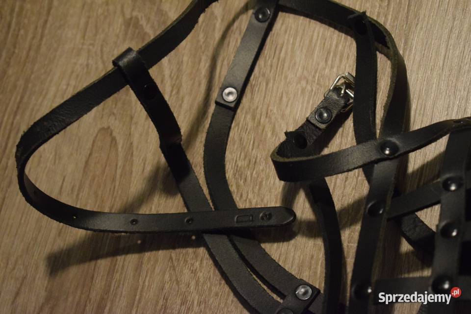 Kaganiec psa rozmiar L stan Dla psów Chełmno