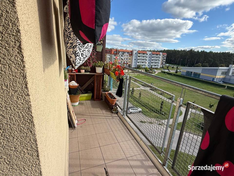 Sprzedam mieszkanie w Lęborku 3 piętra i więcej Lębork