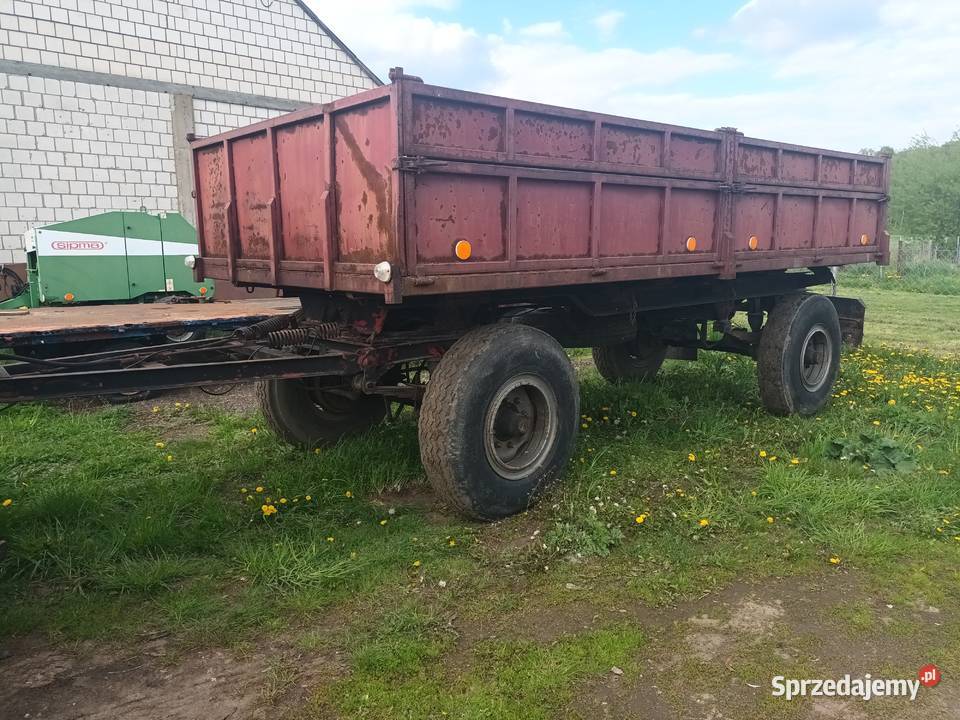 Przyczepa hl 8011 wywrotka Przyczepy rolnicze Kobylin-Kruszewo