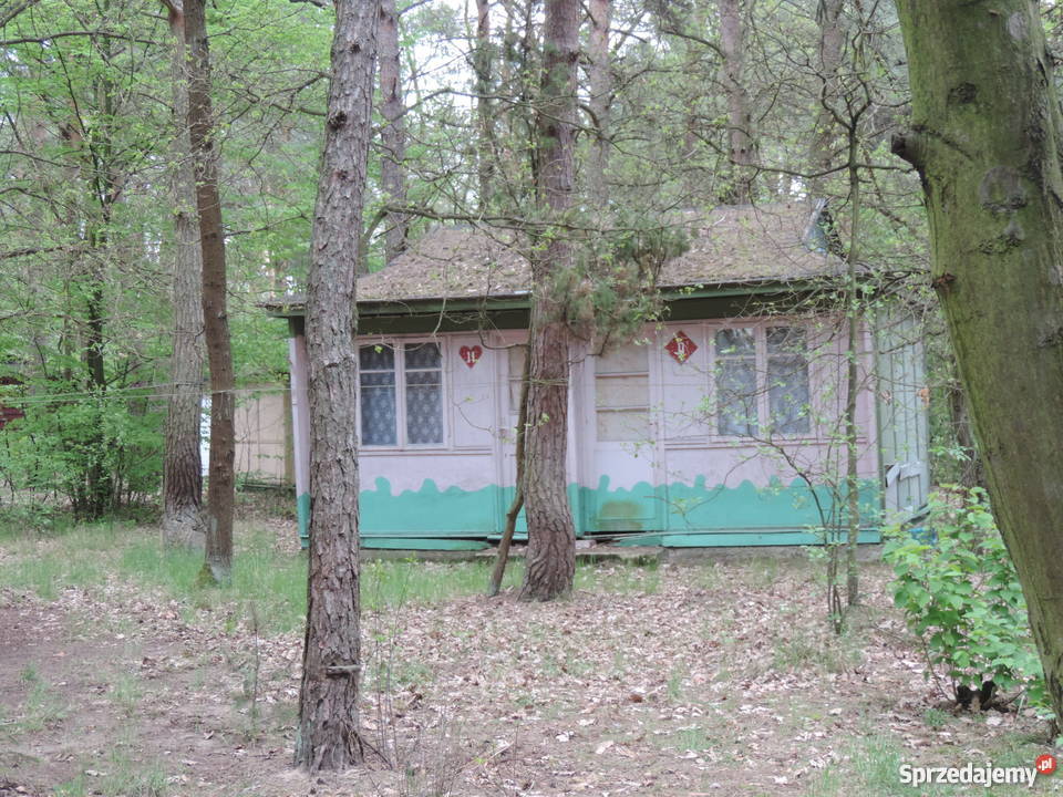 DOMEK REKREACYJNY Ryczywół k Kozienic tanio