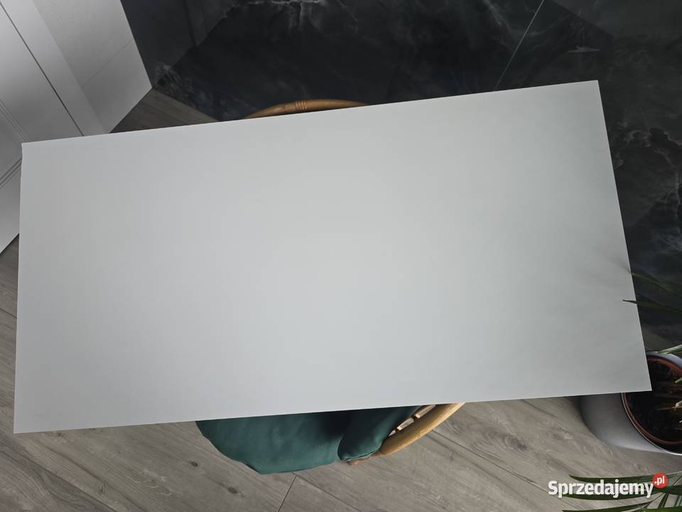 PŁYTKA BIAŁA MAT 60x120 GAT TEST TUBĄDZIN Opoczno