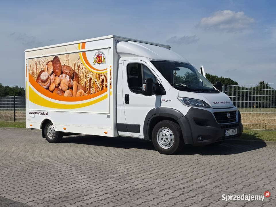 Fiat Ducato maxi 23 JDT nieuszkodzony Ducato Krzykosy